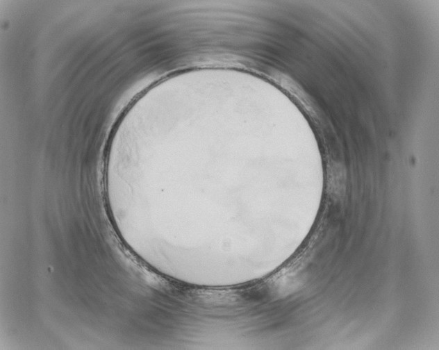 X0000068320856200604241337