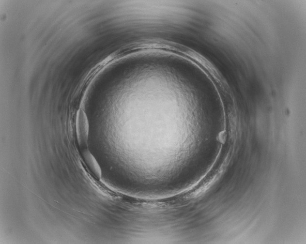 X0000068320857200604241337