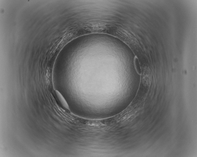 X0000068320866200604241336
