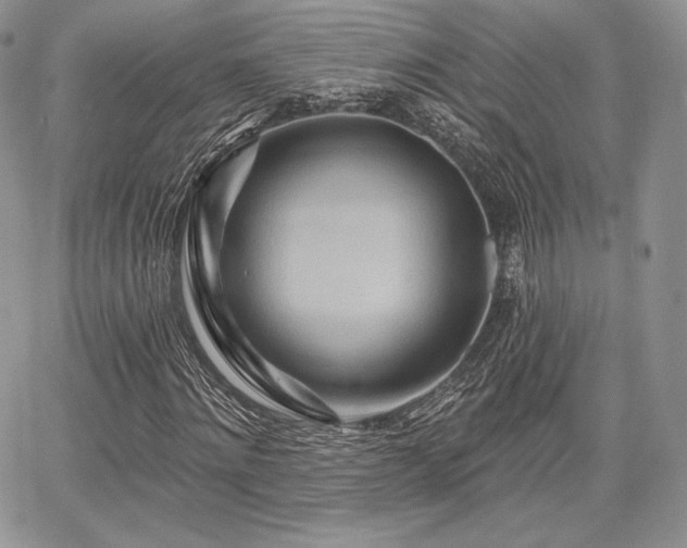 X0000068320868200604241336