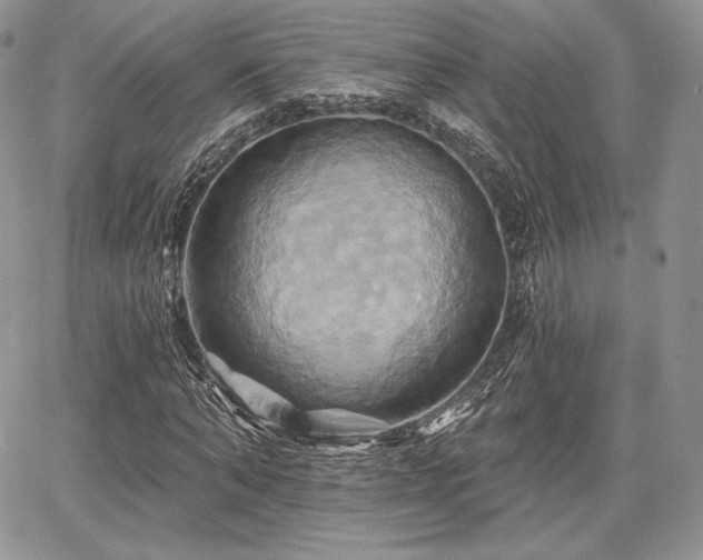 X0000068320870200604241336