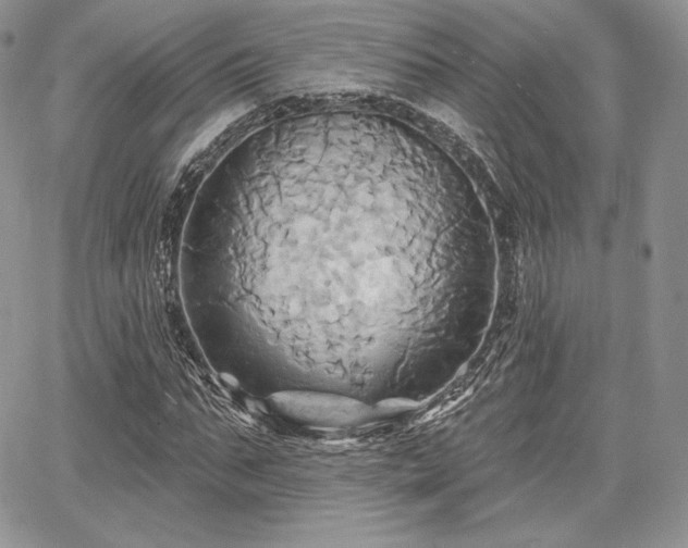 X0000068320871200604241336