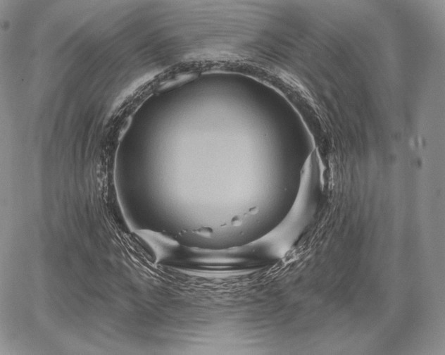 X0000068320872200604241336