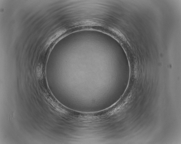 X0000068320873200604241336