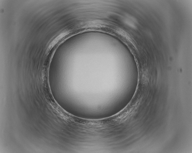 X0000068320874200604241336