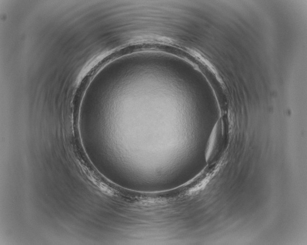 X0000068320877200604241336