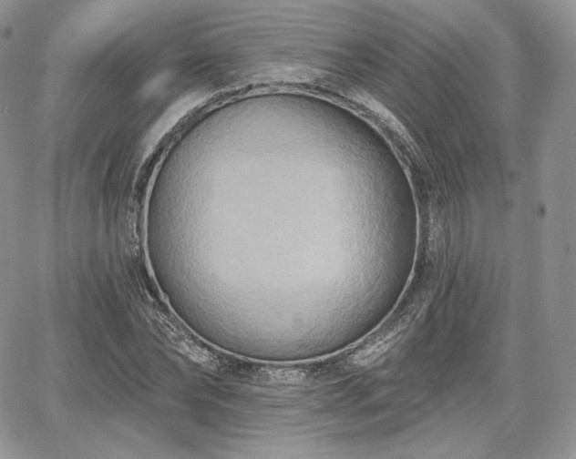 X0000068320878200604241336