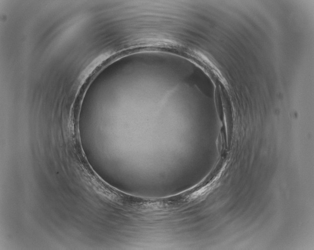X0000068320883200604241336