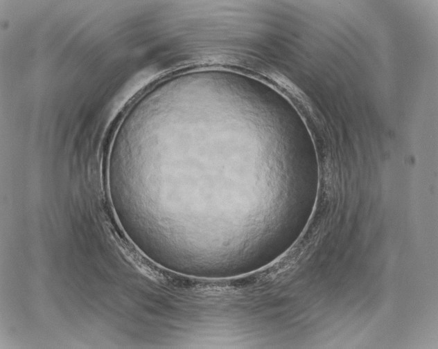 X0000068320886200604241336