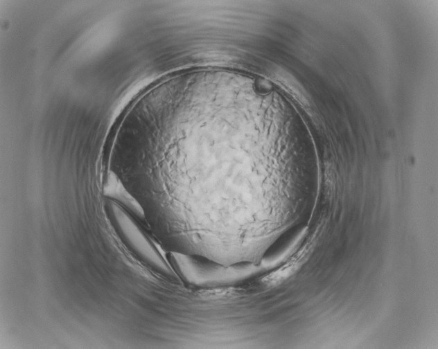 X0000068320891200604241336