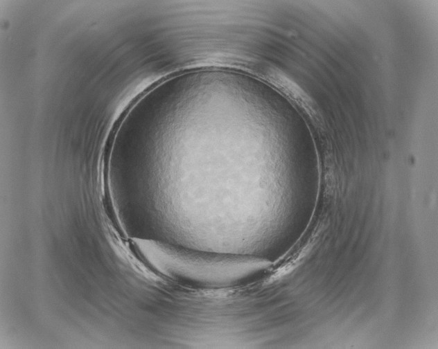 X0000068320892200604241336