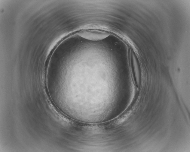 X0000068320896200604241335