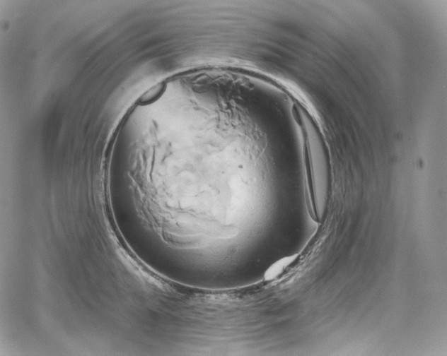 X0000068320903200604241335