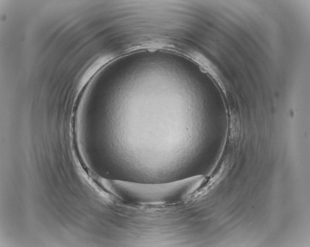 X0000068320906200604241335
