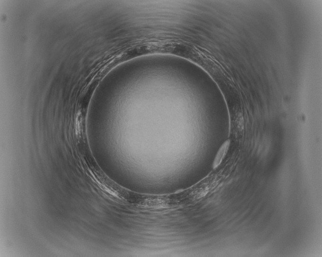 X0000068320914200604241334