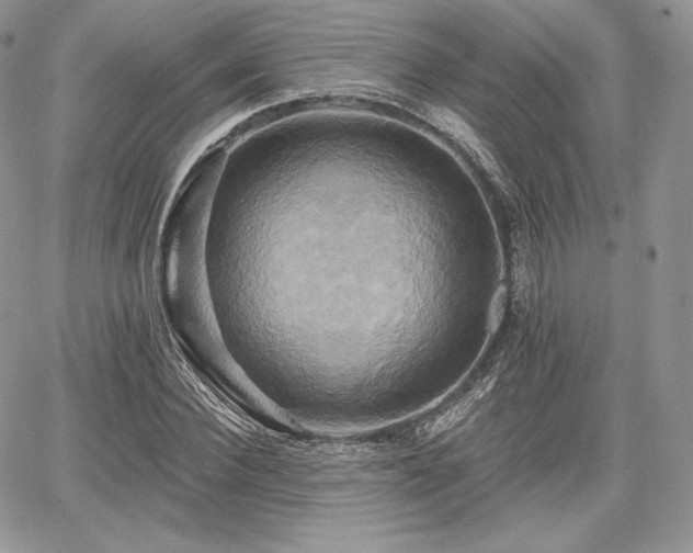 X0000068320924200604241335