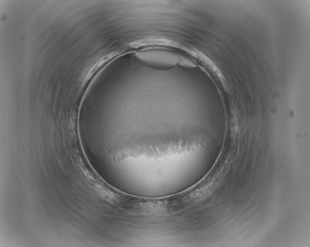 X0000068320937200604241335