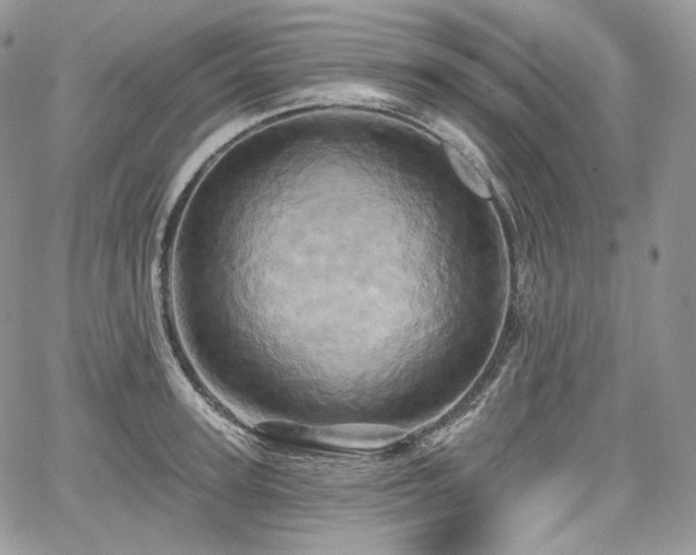 X0000068320947200604241335