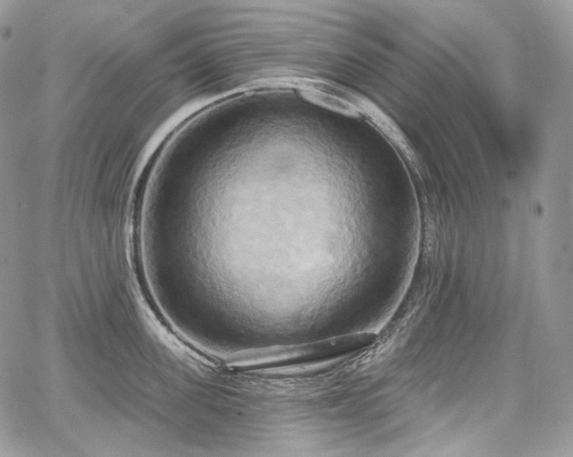 X0000068320955200604241335
