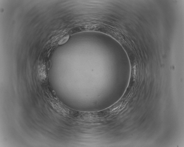 X0000068320962200604241334