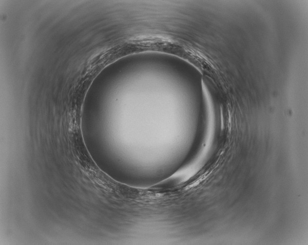X0000068320965200604241334