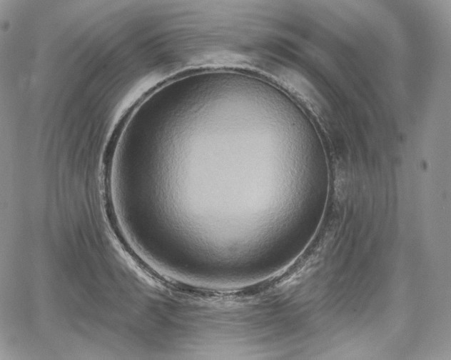 X0000068320990200604241334