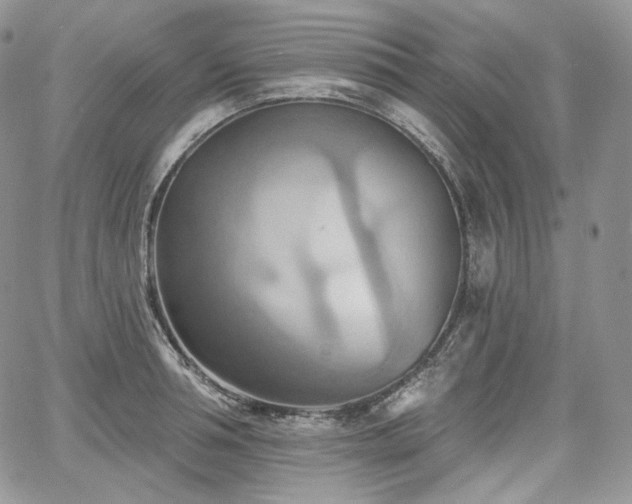 X0000068320994200604241334