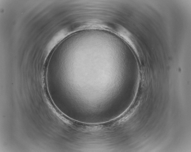 X0000068320997200604241334