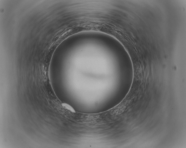 X0000068321013200604241333