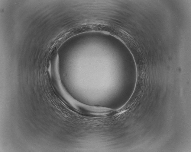 X0000068321014200604241333
