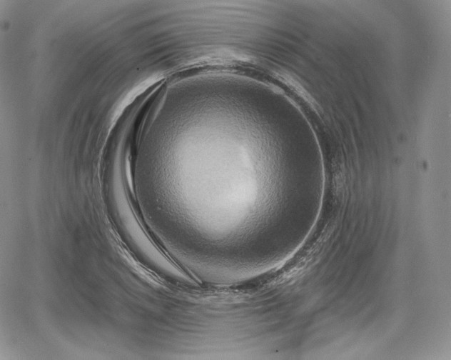 X0000068321026200604241333