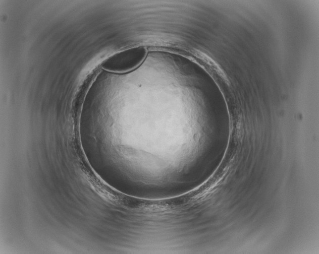 X0000068321027200604241333