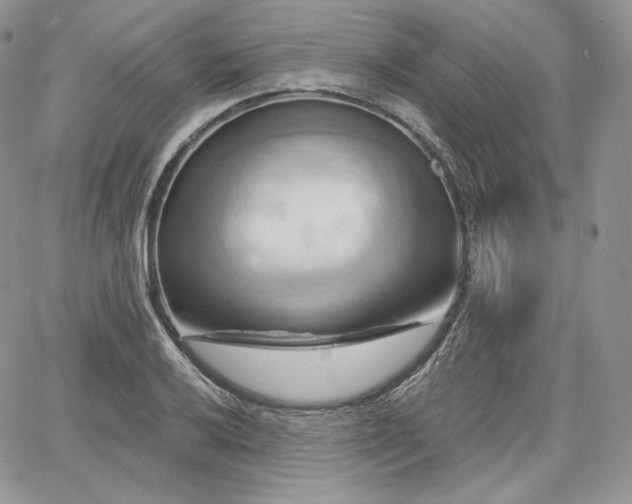 X0000068321032200604241333