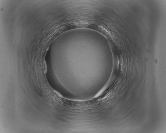 X0000068321057200604241333