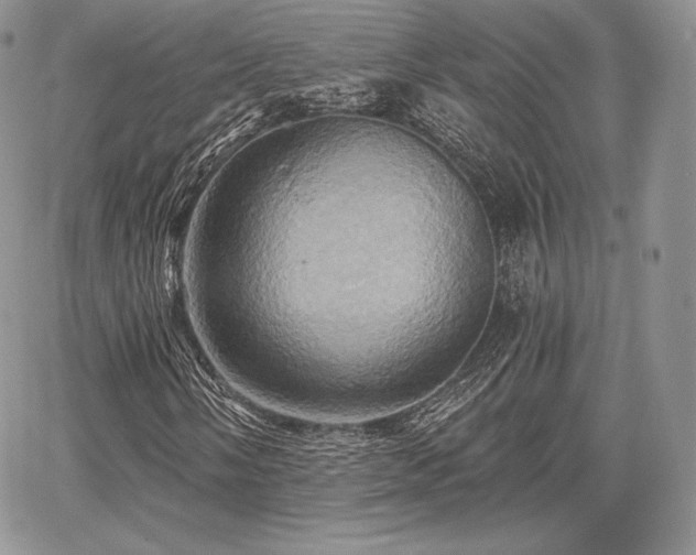 X0000068321058200604241333