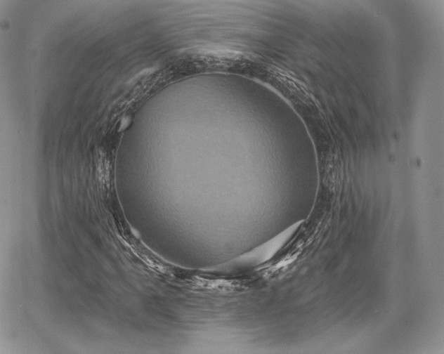 X0000068321061200604241333