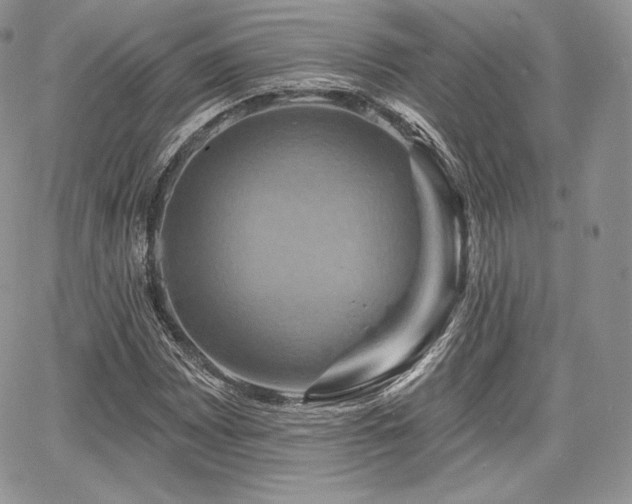 X0000068321065200604241333