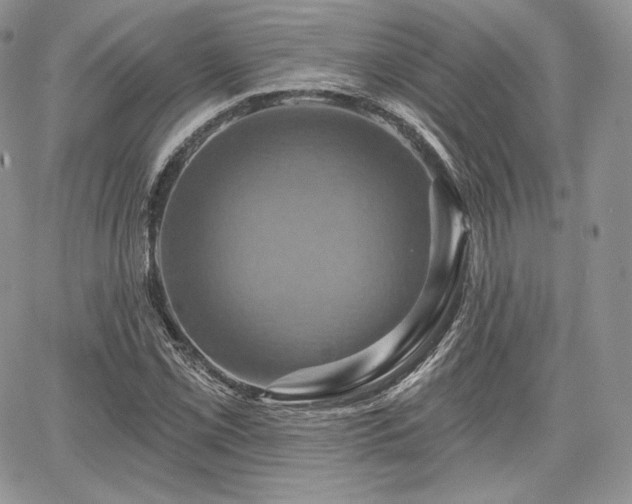 X0000068321069200604241333