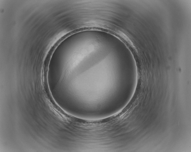 X0000068321076200604241332