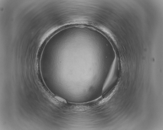 X0000068321077200604241332