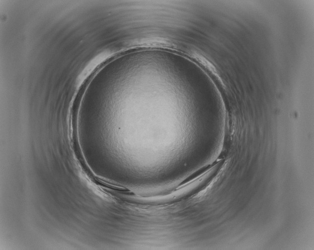 X0000068321082200604241332