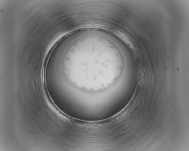 X0000068321084200604241332