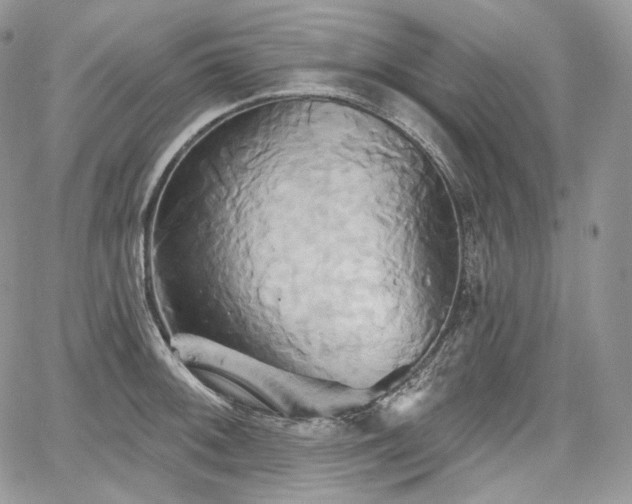 X0000068321092200604241332