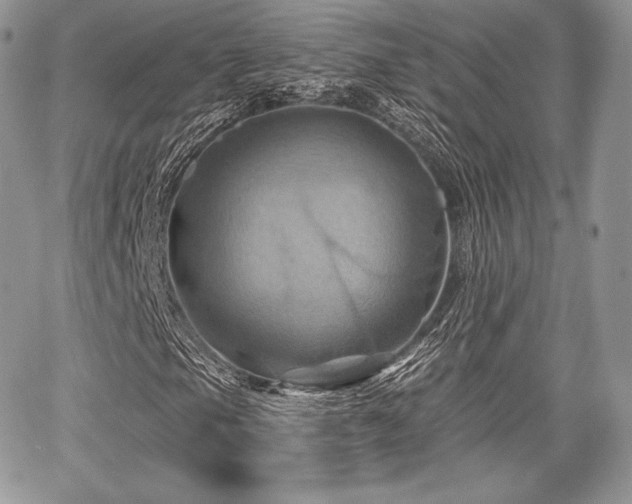 X0000068321105200604241331