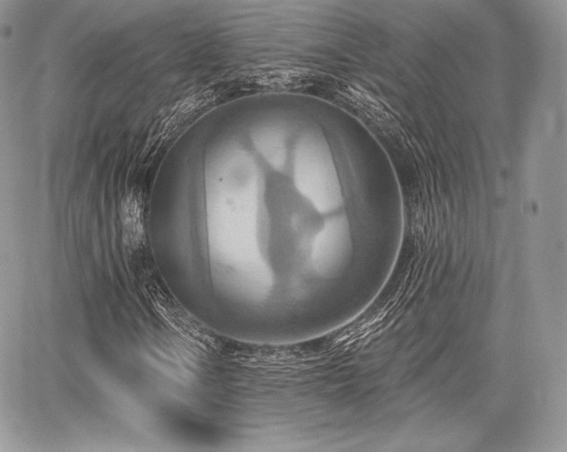 X0000068321106200604241331