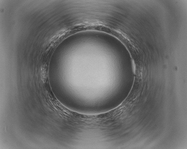 X0000068321110200604241331