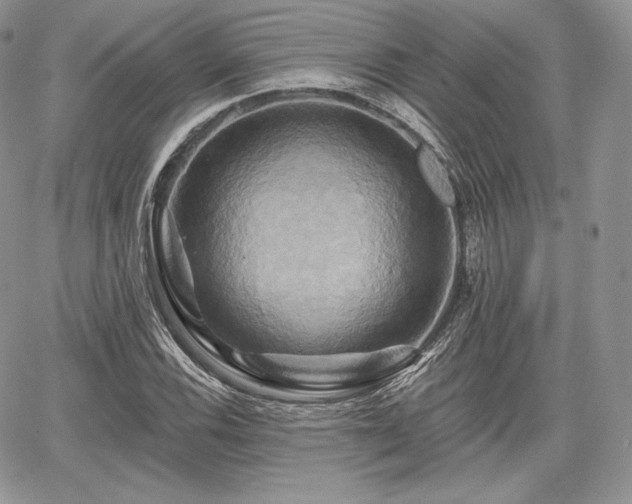 X0000068321116200604241331