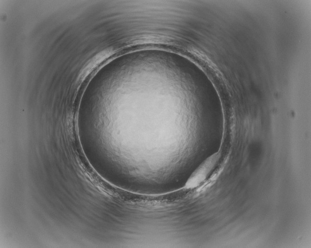 X0000068321121200604241331