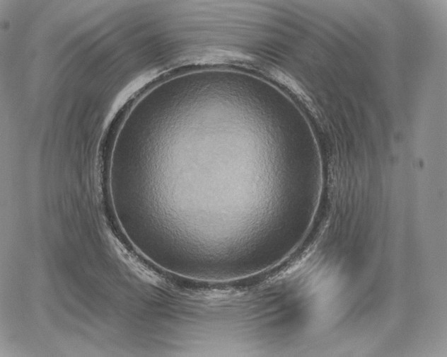 X0000068321122200604241331