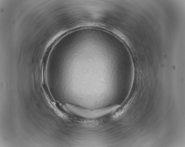 X0000068321127200604241332